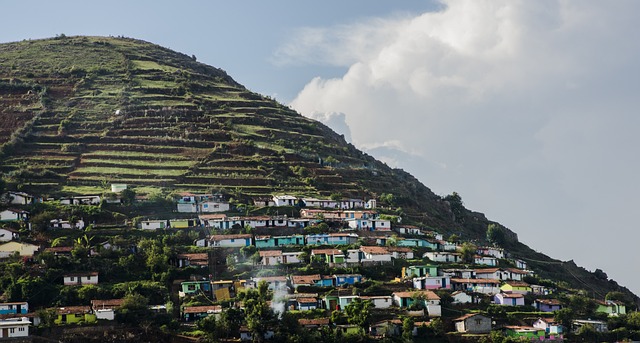 Scenic view of Ooty, a hill station blanketed in a lush carpet of emerald green tea plantations, nestled amidst rolling hills and misty valleys. The image captures the serene beauty of Ooty's natural landscape, with mist gently veiling the distant hills and a charming town nestled in the foreground