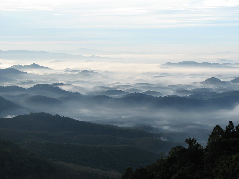 Wayanad: Kerala's Natural Beauty