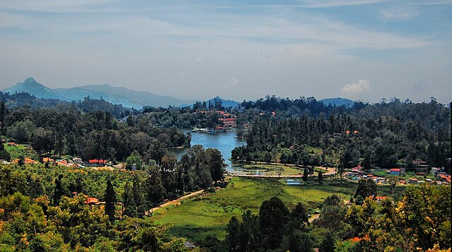 Scenic view of Kodaikanal hill station with mist-covered mountains, lush greenery, and serene lakes.