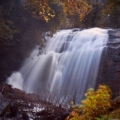 Lush coffee plantations and waterfalls in Coorg.