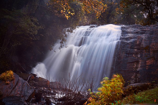 Lush coffee plantations and waterfalls in Coorg.