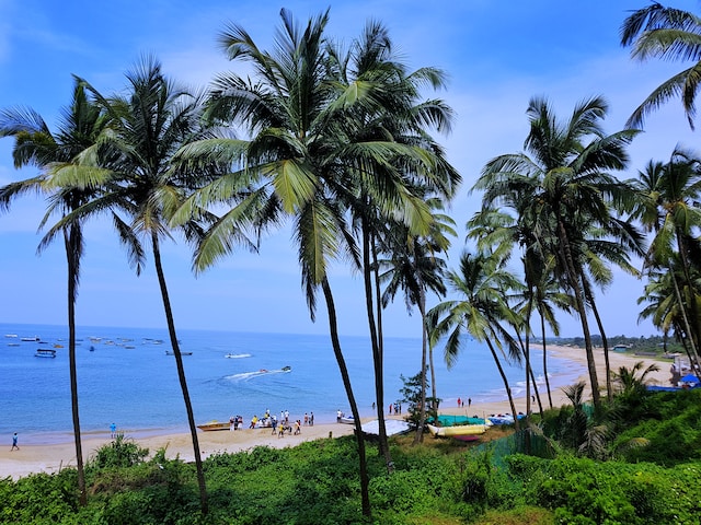 Sandy beach with palm trees and turquoise waters in Goa, a popular coastal destination in India