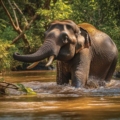 A lush green forest in Mudumalai National Park, with sunlight filtering through the dense canopy. Tall trees, vibrant flora, and a serene atmosphere invite exploration and wildlife spotting in this beautiful natural reserve.