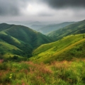 A serene landscape of Vagamon, Kerala, with lush green hills, meadows, and a tranquil ambiance.
