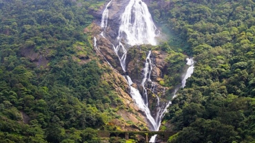 Dudhsagar Falls: Majestic descent amidst lush greenery, a mesmerizing cascade of nature's beauty.