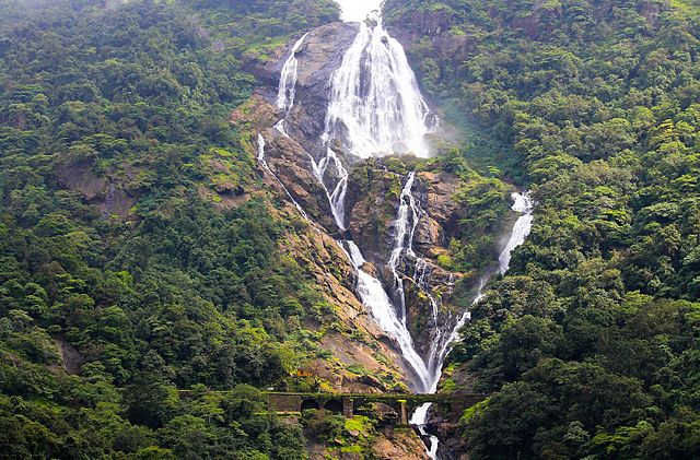 Dudhsagar Falls: Majestic descent amidst lush greenery, a mesmerizing cascade of nature's beauty.