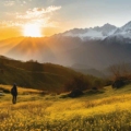A breathtaking view of Chaukori Hill Station, surrounded by lush greenery and majestic mountains.