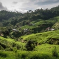A scenic view of Lunglei, Mizoram, showcasing its tranquil beauty.