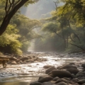Captivating wilderness at Jim Corbett National Park: Nature's Marvel, showcasing lush landscapes, diverse wildlife, and the untamed beauty of nature.