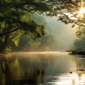 A captivating scene in Periyar National Park, Southern India, showcasing lush landscapes, diverse wildlife, and the untamed beauty of the wilderness.