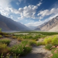 Breathtaking landscape of Nubra Valley, a hidden gem in nature's embrace.