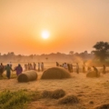 Golden wheat fields under a clear blue sky, showcasing the vibrant Indian agritourism scene.